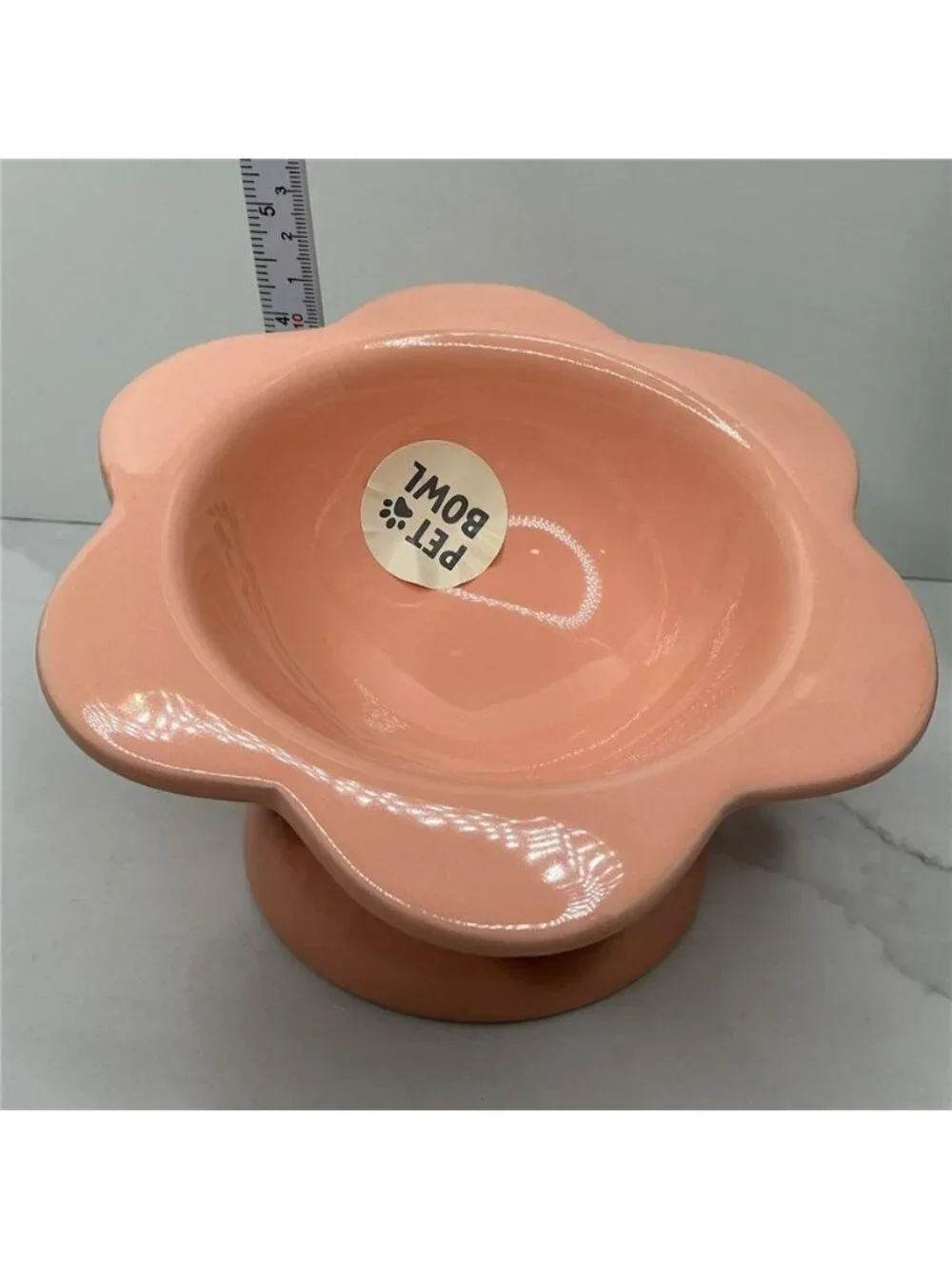 Rare Rockybear Pets Ceramic Food Bowl Elevated 4
